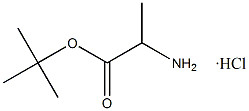 هيدروكلوريد الـ Tert-Butyl L-Alaninate CAS. 13404-22-3 مسحوق أبيض إلى غير أبيض نقاء 98% نقطة الذوبان 168-175 °C