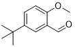 5-تيرت-بوتيل-2-OMebenzaldehyde